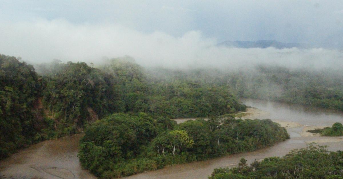 An aerial view of the Amazon River Basin