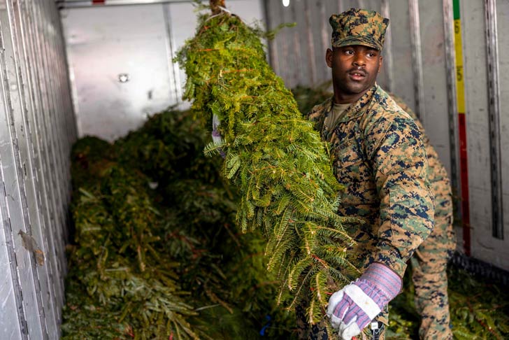 A military member carries a Christmas tree out of a freight truck