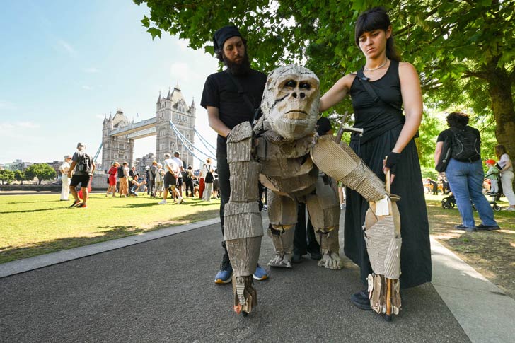Two puppeteers manage a cardboard gorilla in London, England