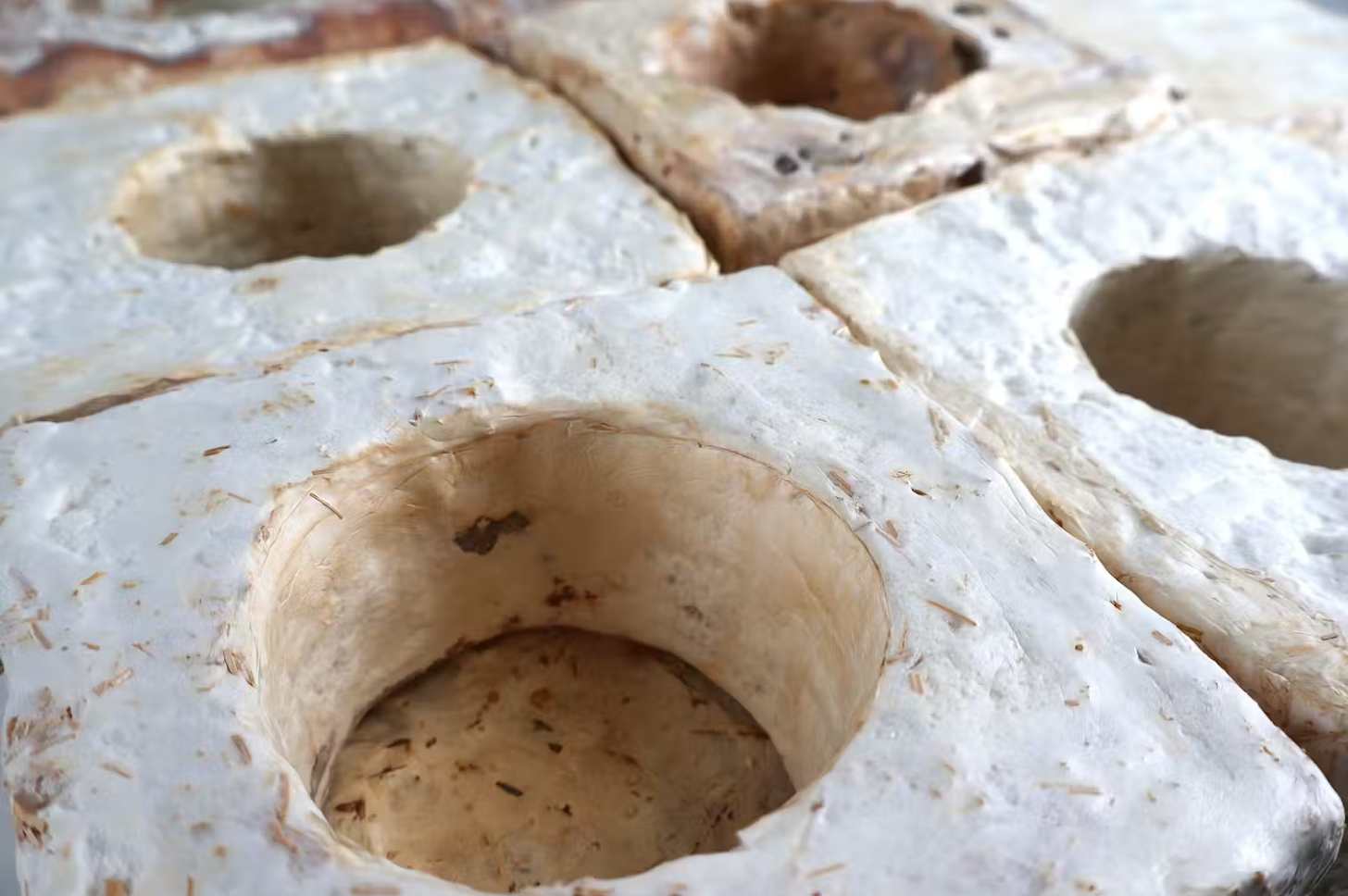 Mycelium-based composite panels with circular perforation, made with Australian Reishi fungi and local biomass waste: bagasse from sugar mills, mulch from a local golf course and hemp from mushroom farmers.