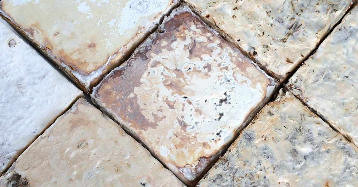 Composite panels made with Australian reishi fungi and biomass waste. Kumar Biswajit Debnath/UTS