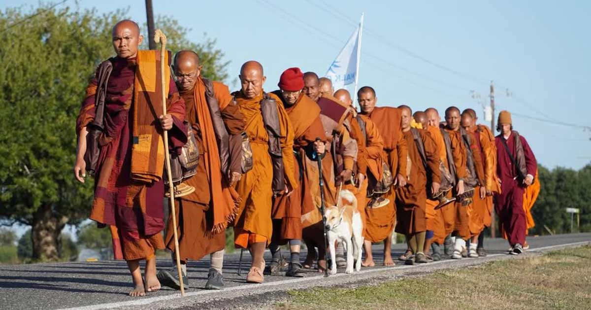 A group of 19 Buddhist monks in orange robes walk barefoot along a road in the United States, a dog at their side
