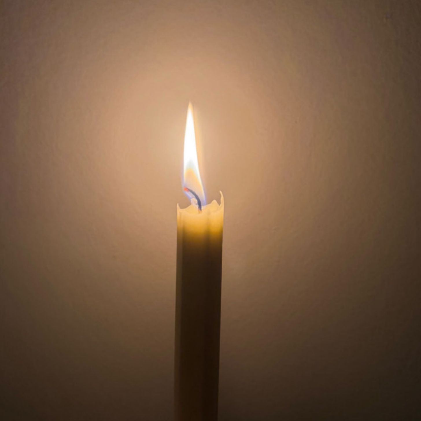 Encouraging Update: Gracie Abrams just released a new song about mass shootings. All proceeds will go to reducing gun violence | Proof That Change Is Possible