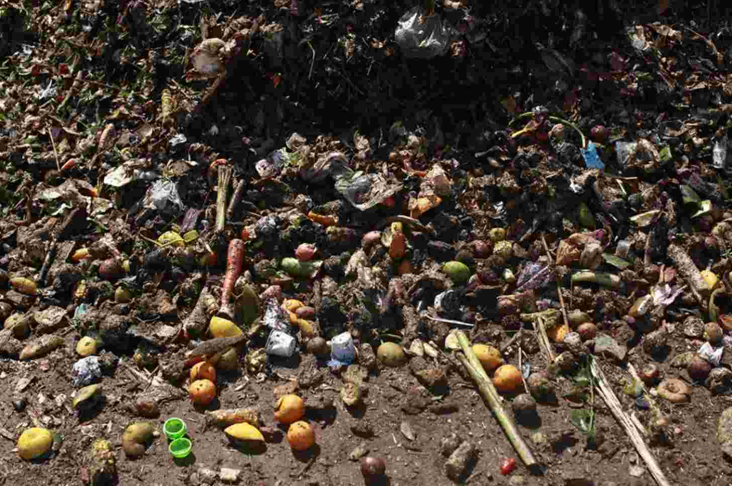 Food waste is seen at the Staten Island Composting Facility in New York City.