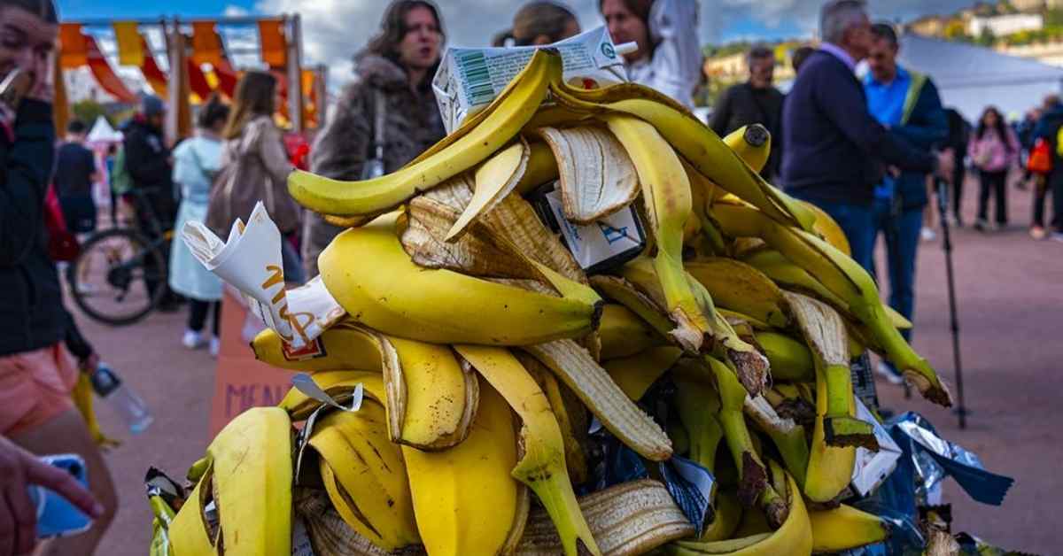 A pile of banana peels