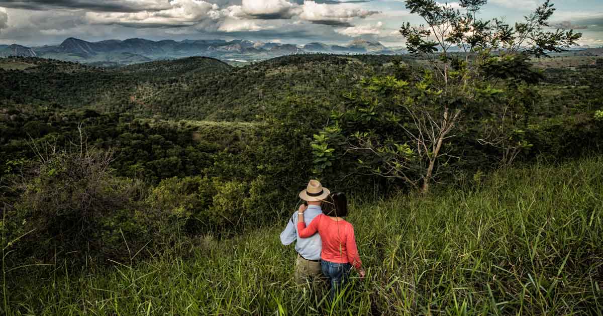 The backs of Sebastião Salgado and his wife, Lélia Deluiz Wanick Salgado, as they overlook their property full of 2.5 million trees