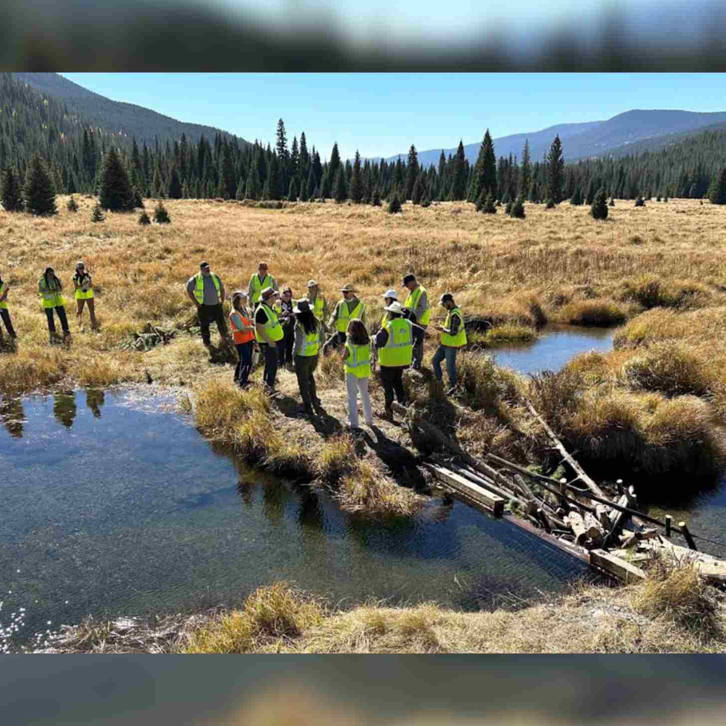 A group of park rangers wearing fluorescent vests build a dam-like structure in Rocky Mountain Park