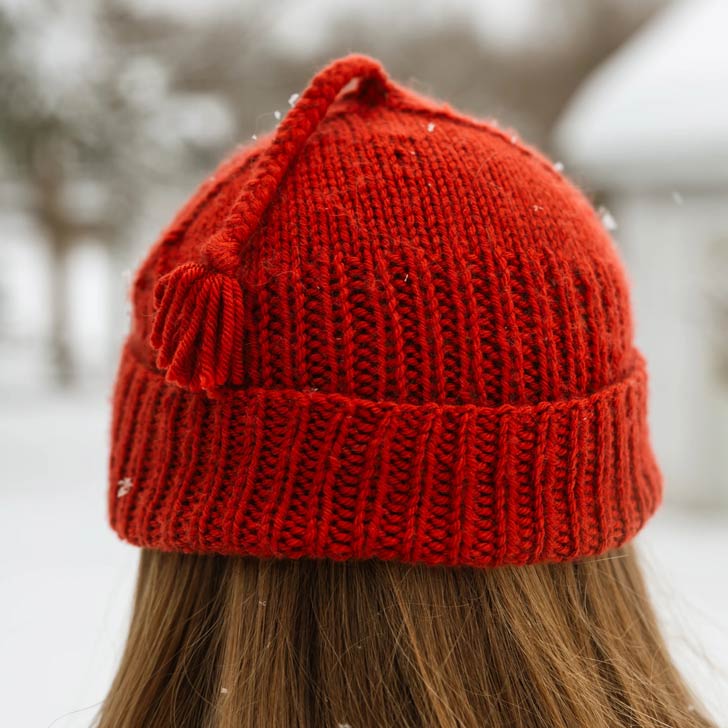 A red knitted "Melt the ICE" hat atop a person's head