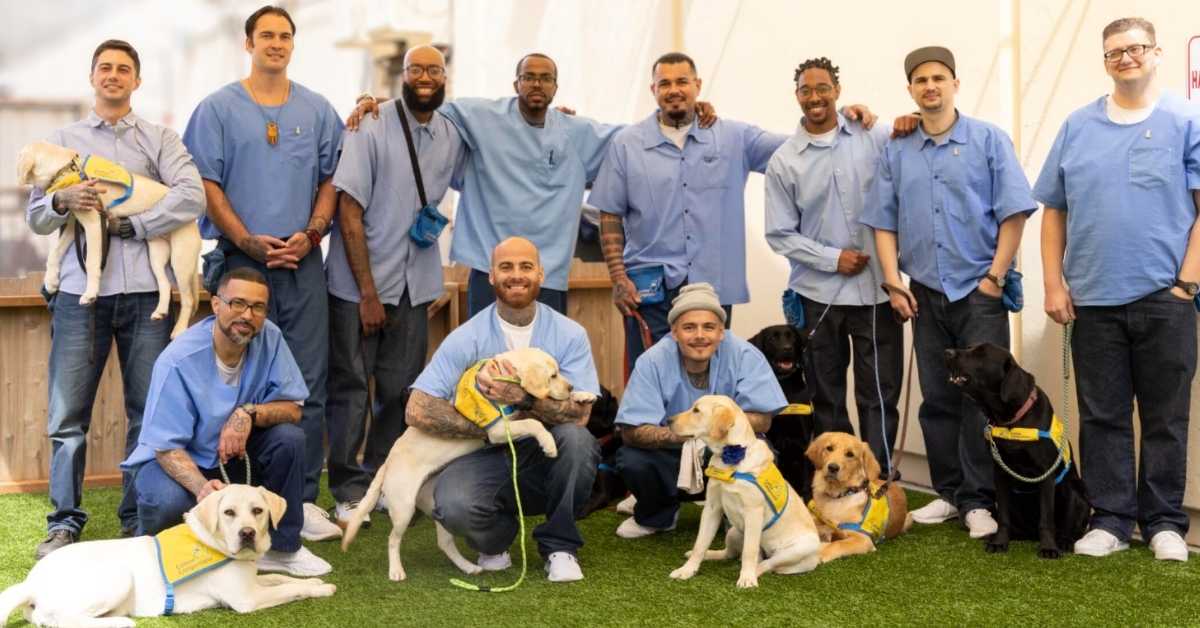 A group of incarcerated men stand proudly with four dogs pictured. 