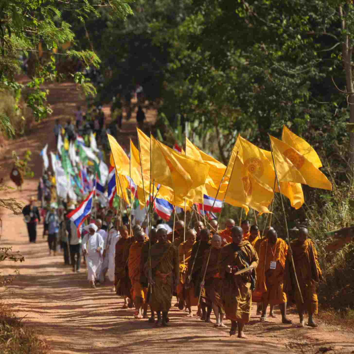 Buddhist monks walk for peace in Cambodia. 