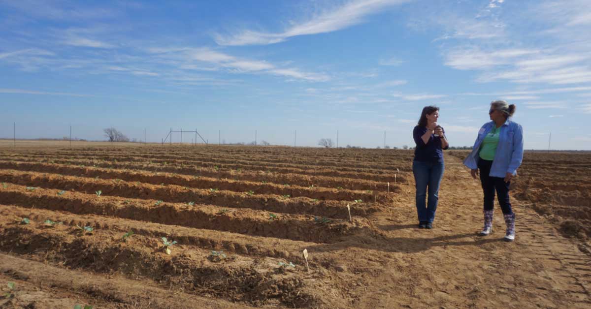 Two women walk in rows of soil in a large prairie garden in Texas