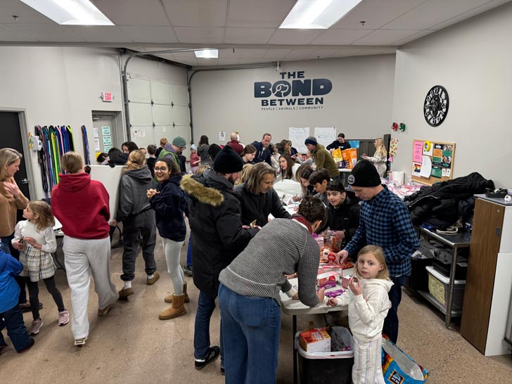 A room full of volunteers packaging pet care kits for Minnesotans at The Bond Between in Minneapolis