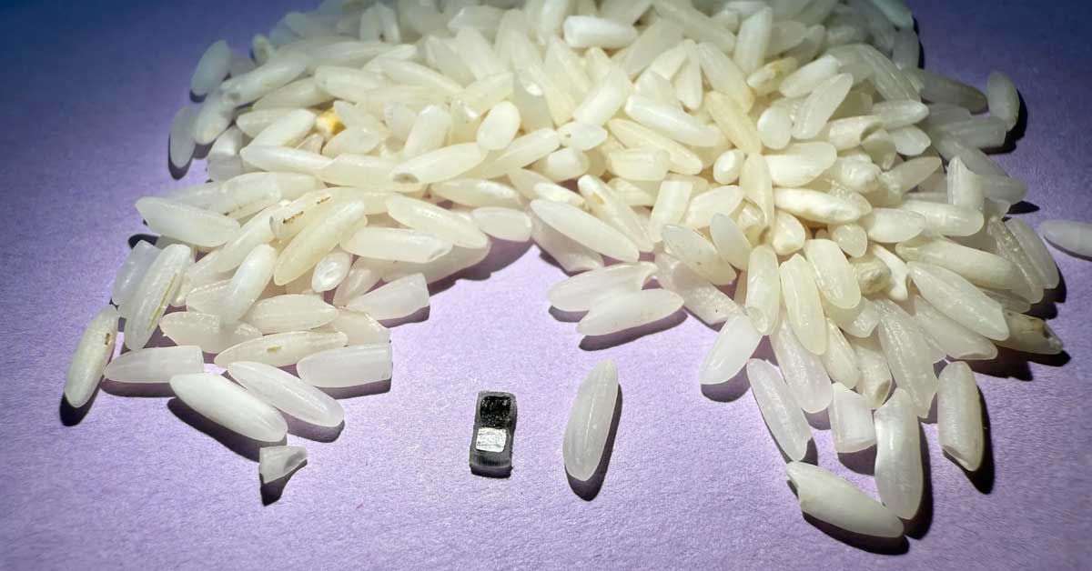 A tiny pacemaker sits among a pile of white rice