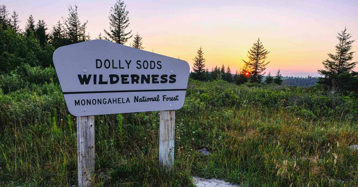 A sign for Dolly Sodds Wilderness sits in a grassy area, overlooking trees