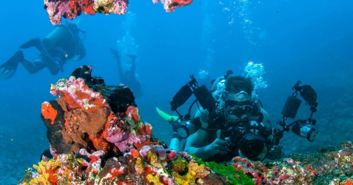 A scuba diver photographs a coral reef