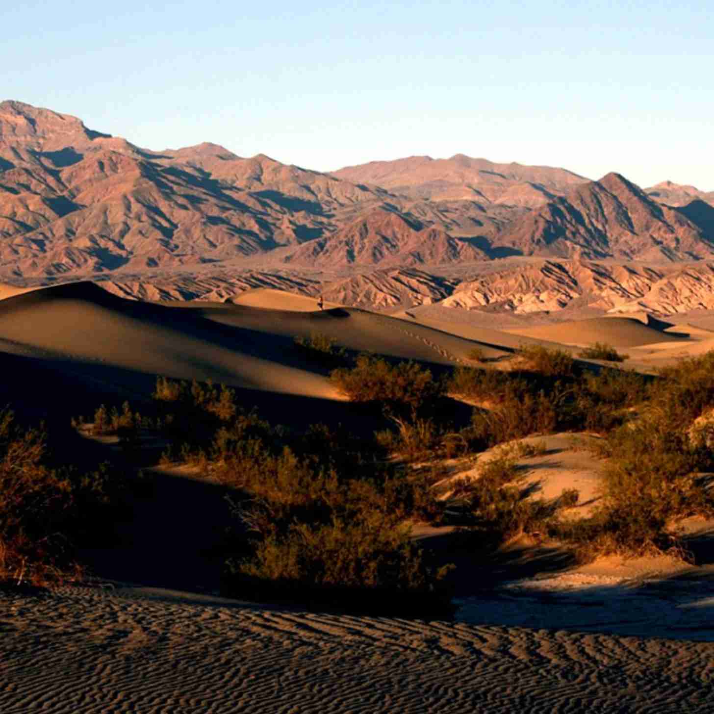 Sand dunes in Death Valley National Park