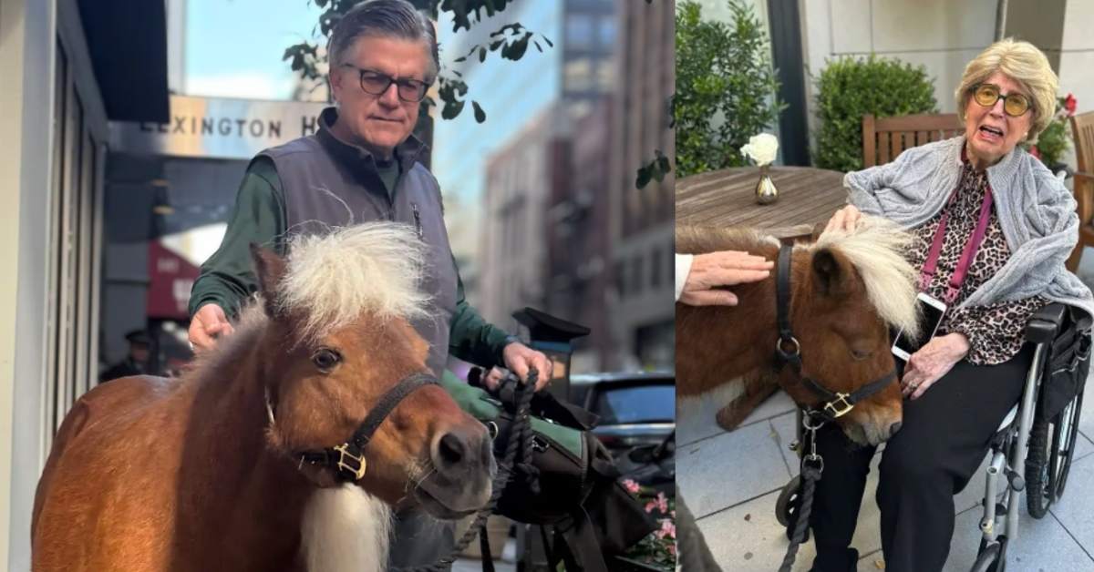 On the left, an older man stands next to a mini horse. On the right, that same horse goes up to an elderly woman