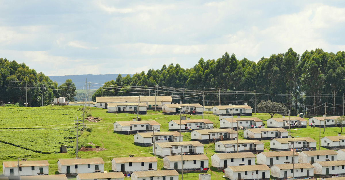 A development of small white houses on a green hill 