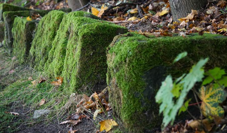 Large rocks covered in moss next to a road