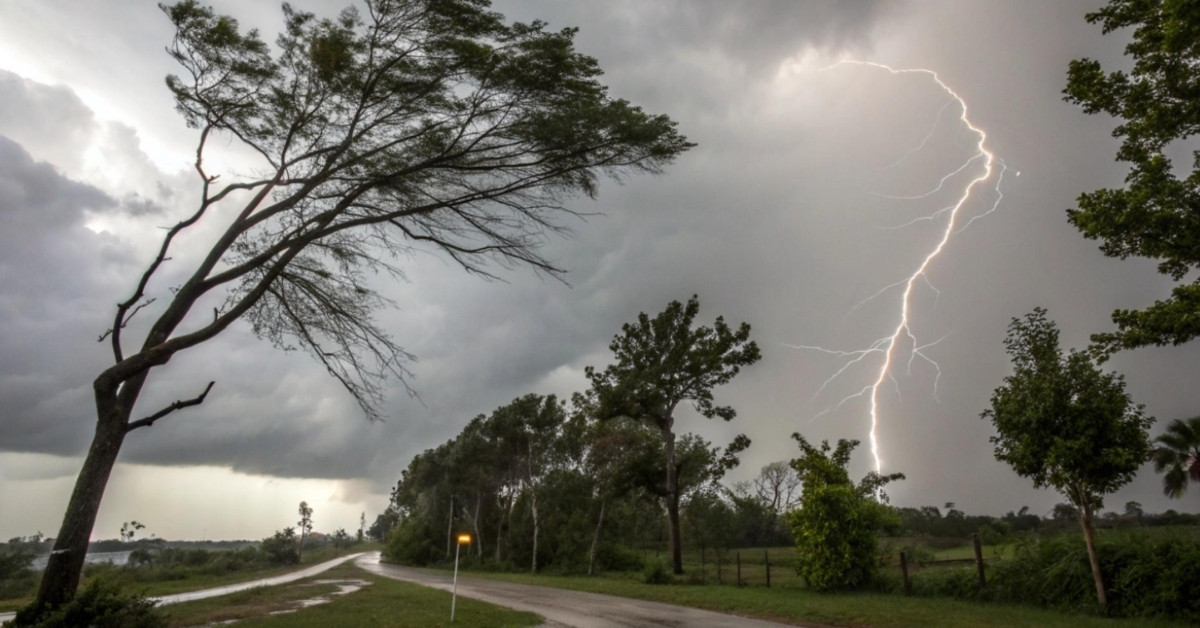 A street surrounded by wind-blown trees during a storm, with lightning striking in the background.