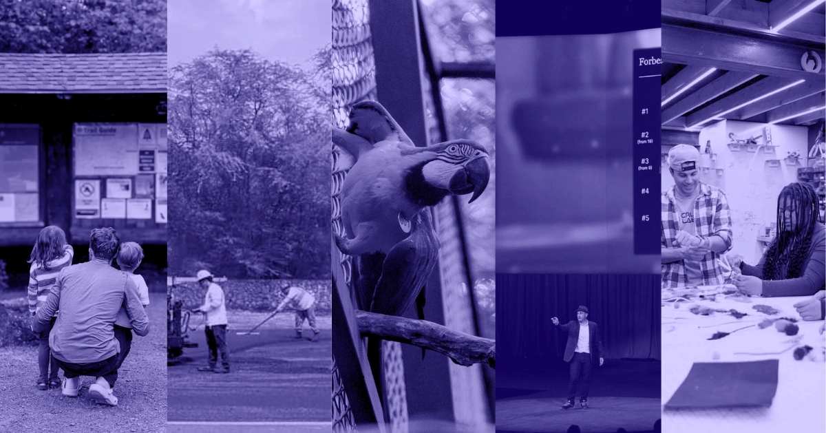 A photo collage of a dad and his two children with their backs behind the camera, two men on a road while holding construction tools, a macaw perched on a metal screen, Randall Lane standing on the TED stage, and two people doing a science experiment on a table