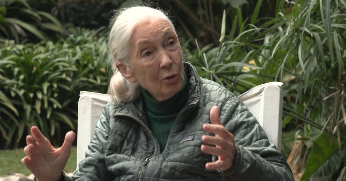 Famed primatologist Jane Goodall sits in a chair in a lush backyard, mid-conversation.