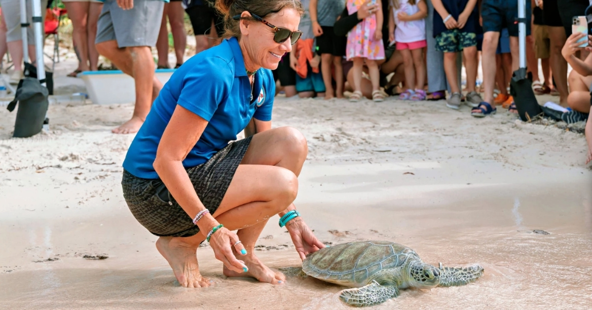 A woman in a blue shirt, sunglasses, hat, and shorts smiles as she gently helps a green sea turtle return to the ocean. She is surrounded by a crowd of onlookers.