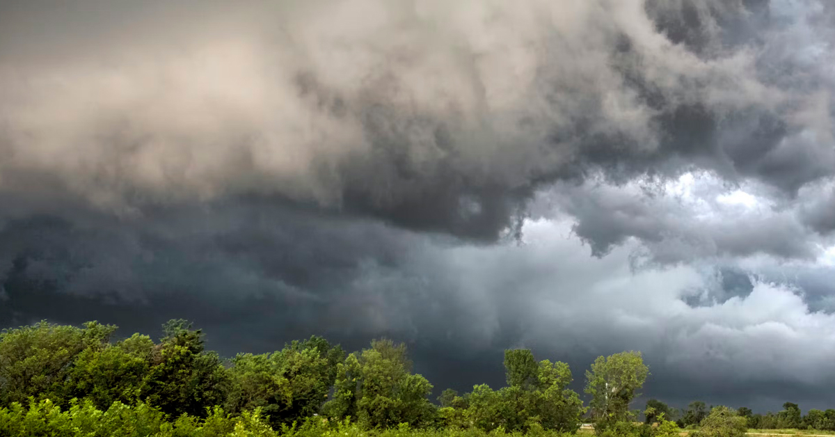Gray storm clouds over a forest of green trees