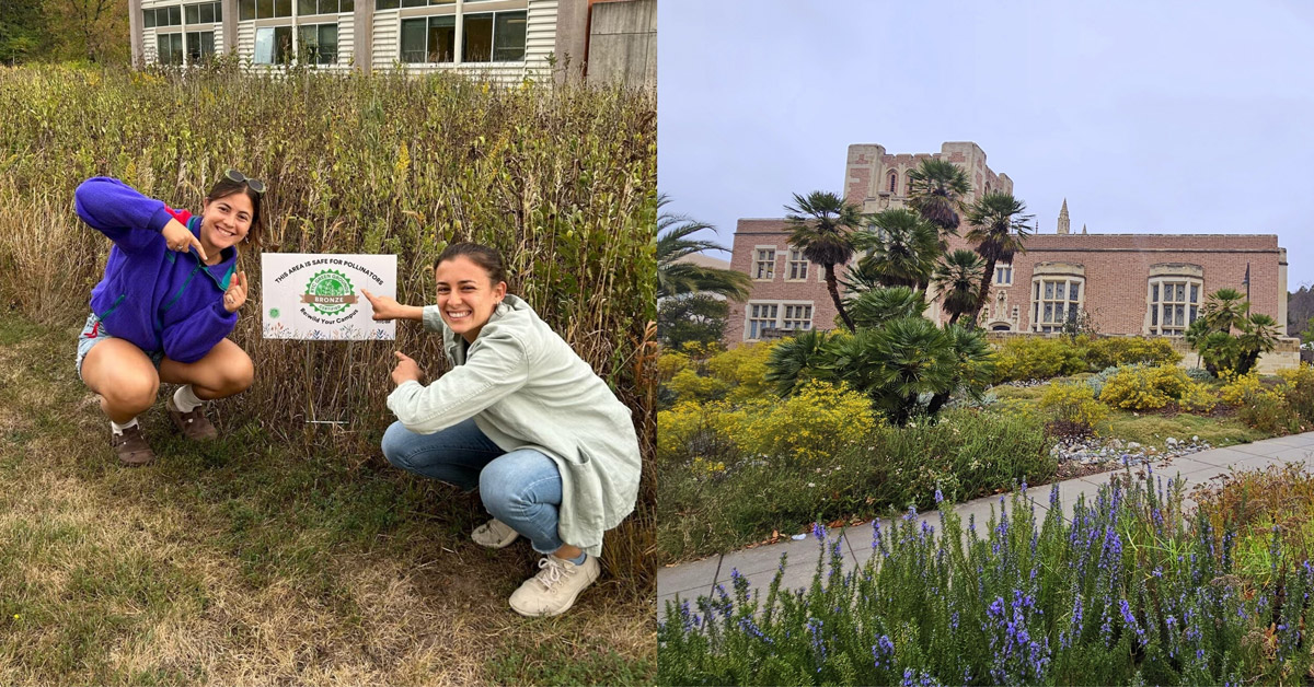 Two photos side-by-side. On the left are two female college students crouching next to a garden, smiling. On the right is a wide shot of a pollinator garden on campus at UCLA