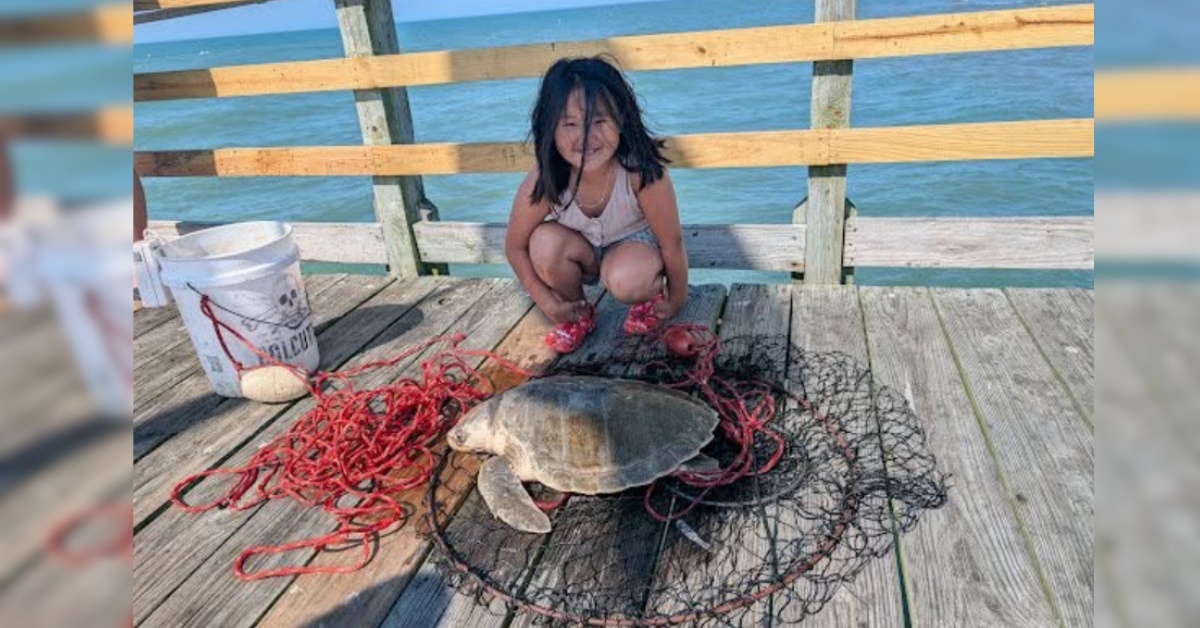 A little girl smiles beside a sea turtle wrapped in on a fishing pier.