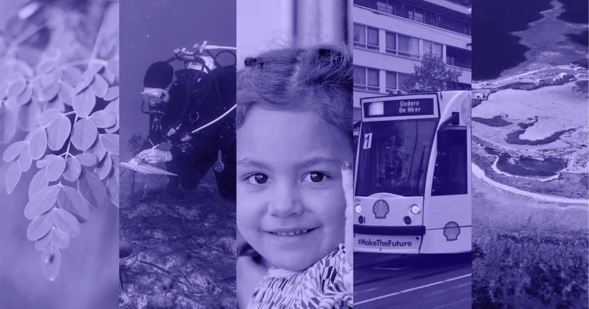 A photo collage of a plant's leaves up close, a scuba diver underwater, a young girl smiles in front of the camera with her upright pinky, the front half of a public bus, and an aerial photo of coral reefs