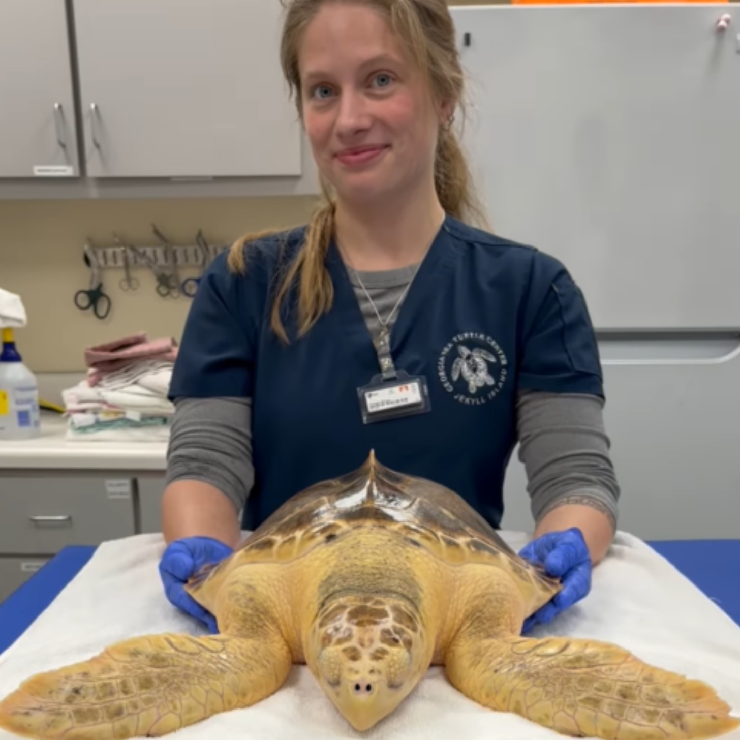 A blonde veterinarian smiles as she gently holds a sea turtle in a vet office
