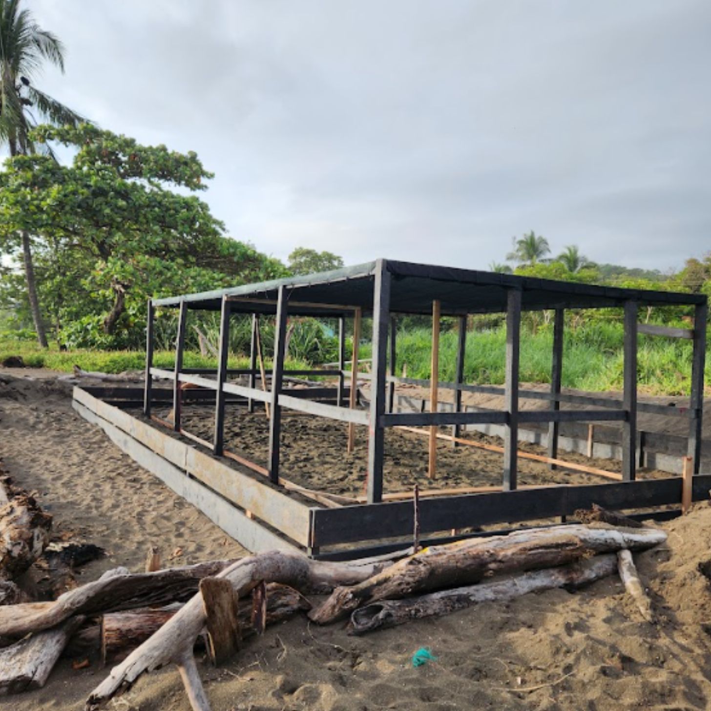 A sea turtle egg hatchery on a tropical beach, with a cloudy sky in the distance