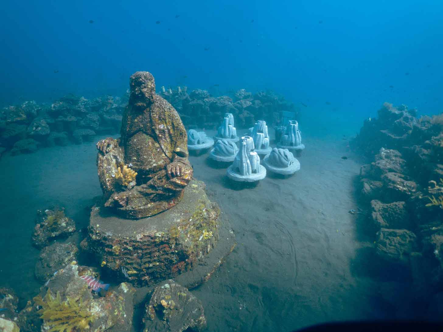 A cluster of statues on the floor of a coral reef