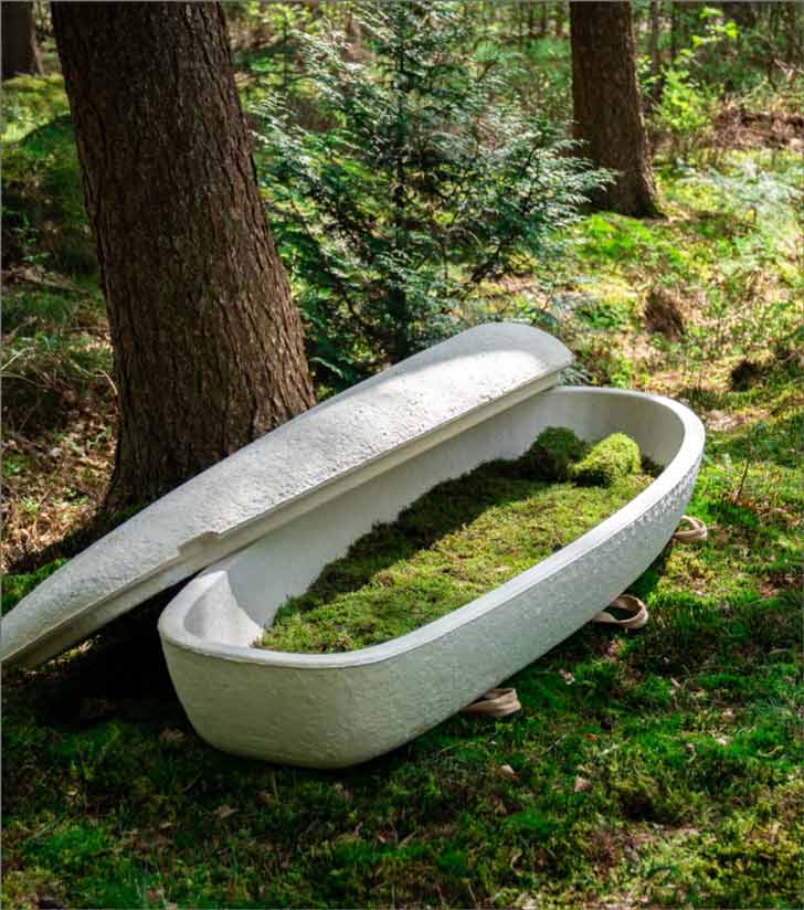 A white casket made of mushrooms sits in a lush, green forest