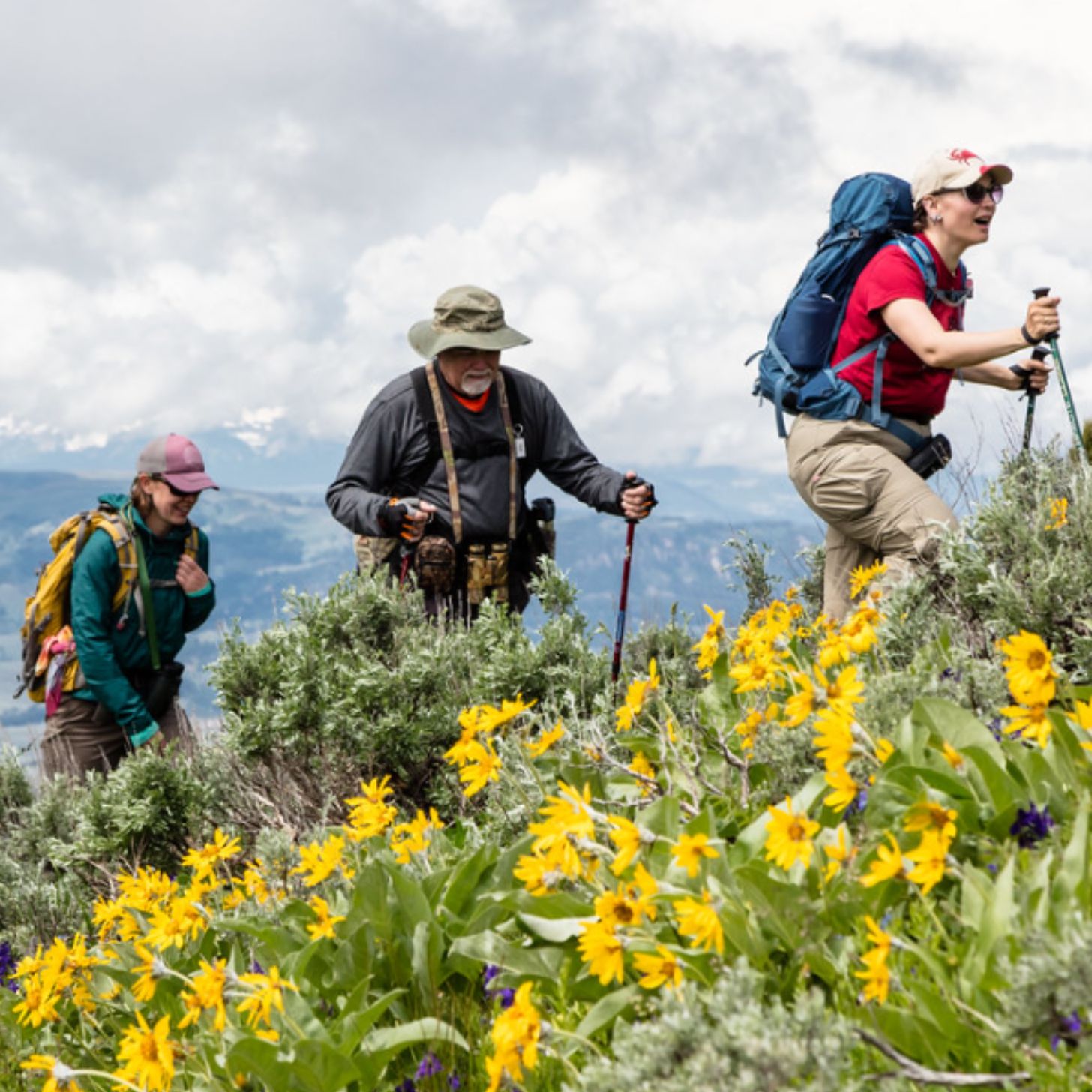 A trio of hikers, two women, one man, walk along a yellow flowered hill in Yellowstone National Park