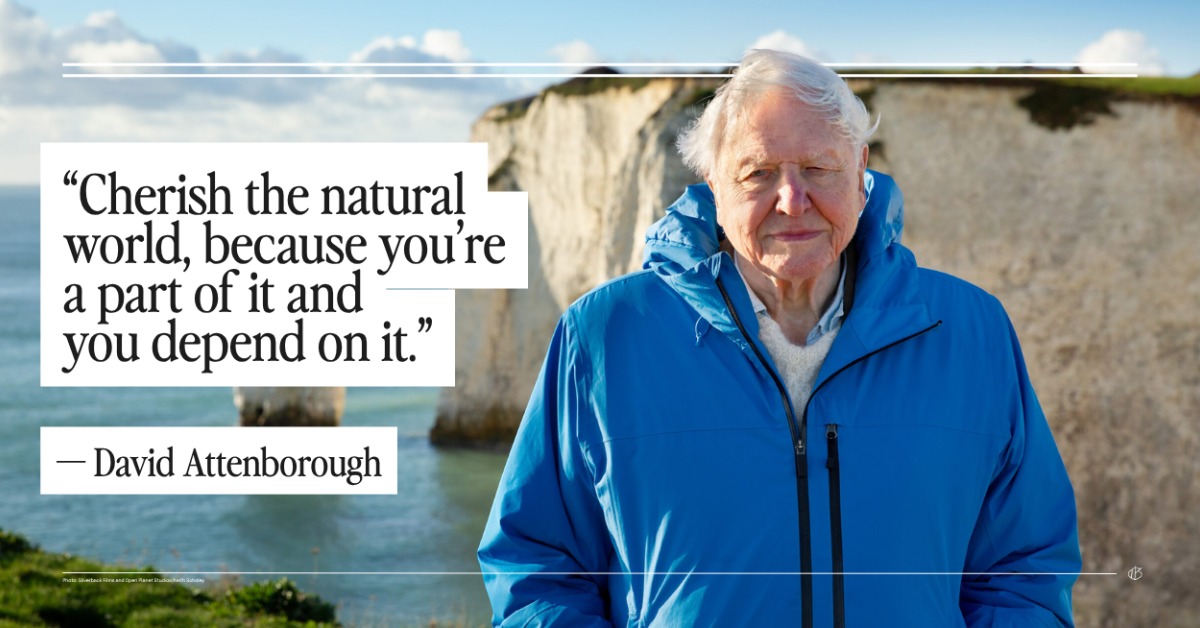 Graphic Quote: “Cherish the natural world, because you’re a part of it and you depend on it.” — Sir David Attenborough