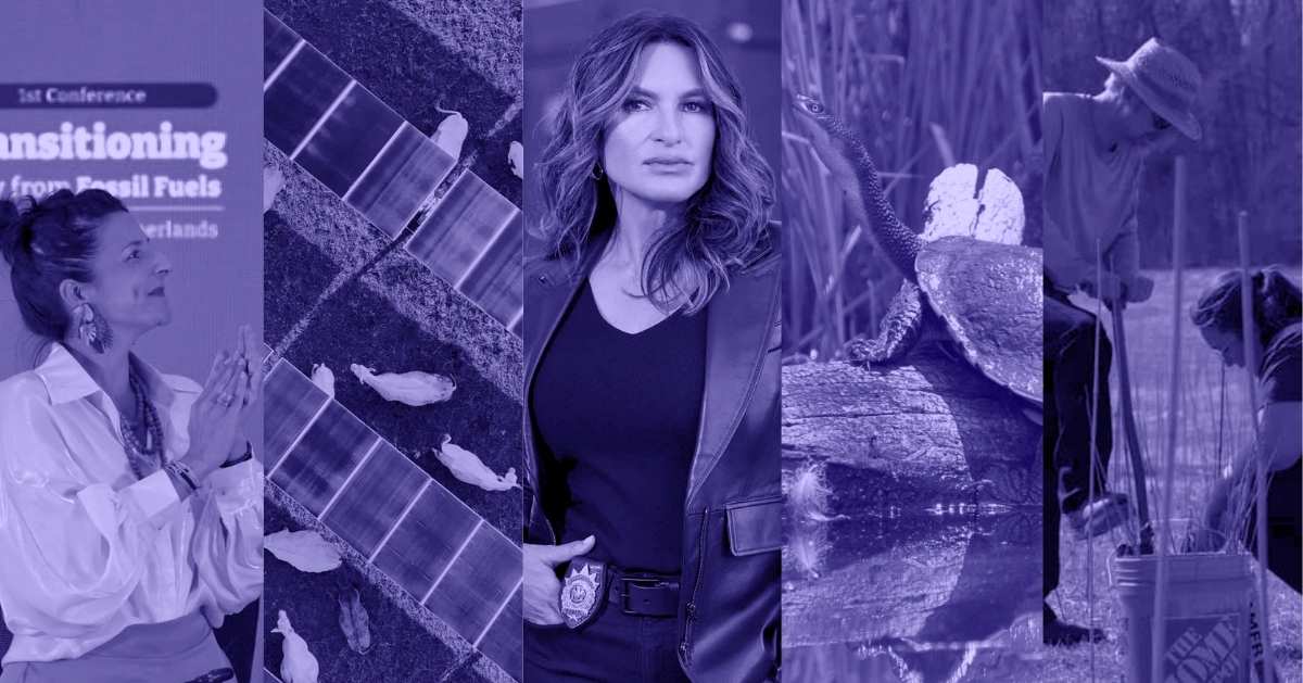 A woman looks to her side as she claps, an aerial view of grazing cattles under solar panels, actress Mariska Hargitay poses for the camera, a turtle perched on a log, and two people working in a field