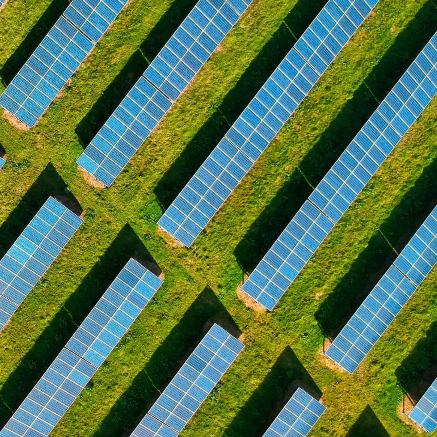 A solar power farm shot from above