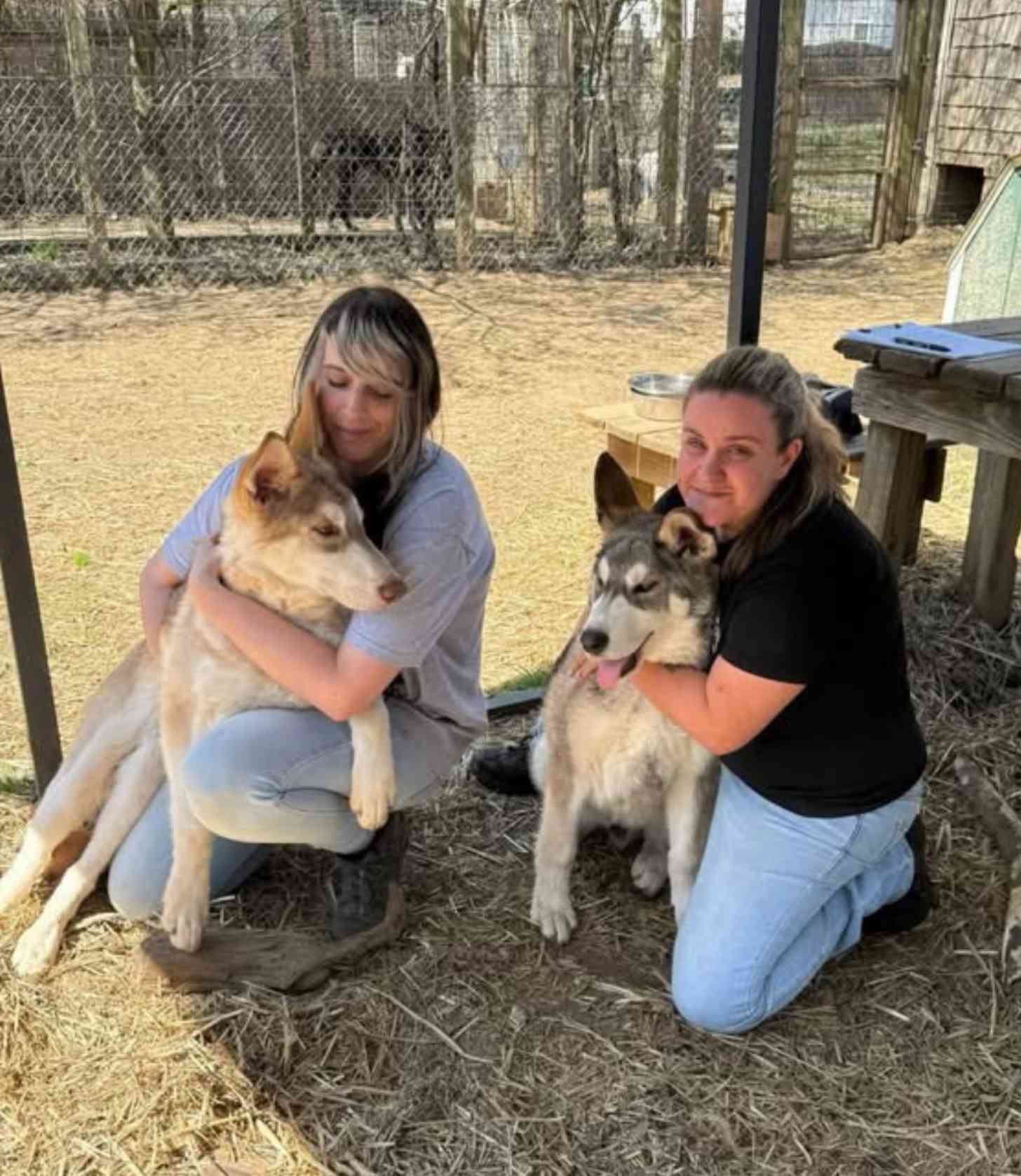 Two young women pose with two wolfdog hybrids at a sanctuary