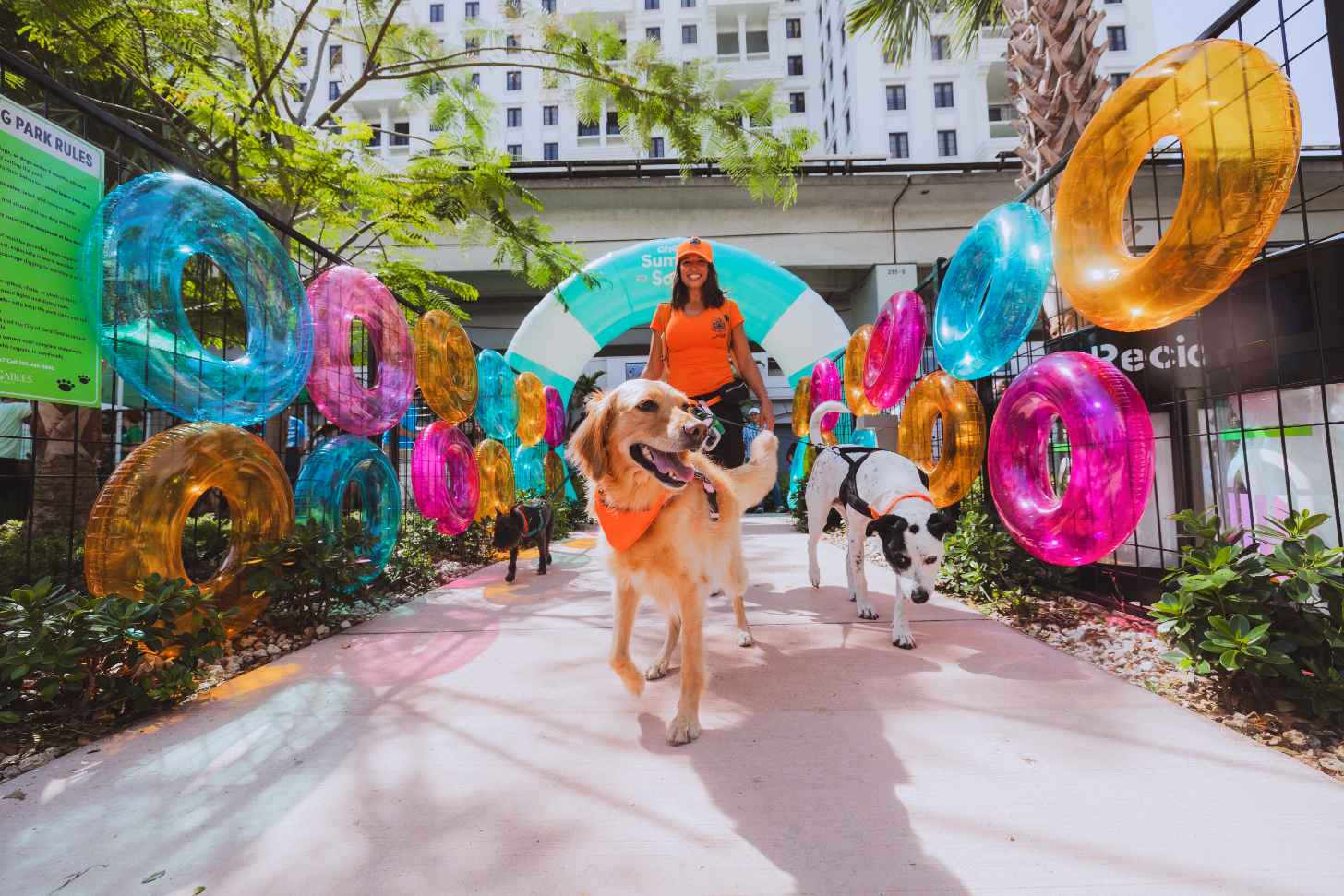 A woman with two dogs on leashes enters a pool party, with colorful inner tubes lining a fence