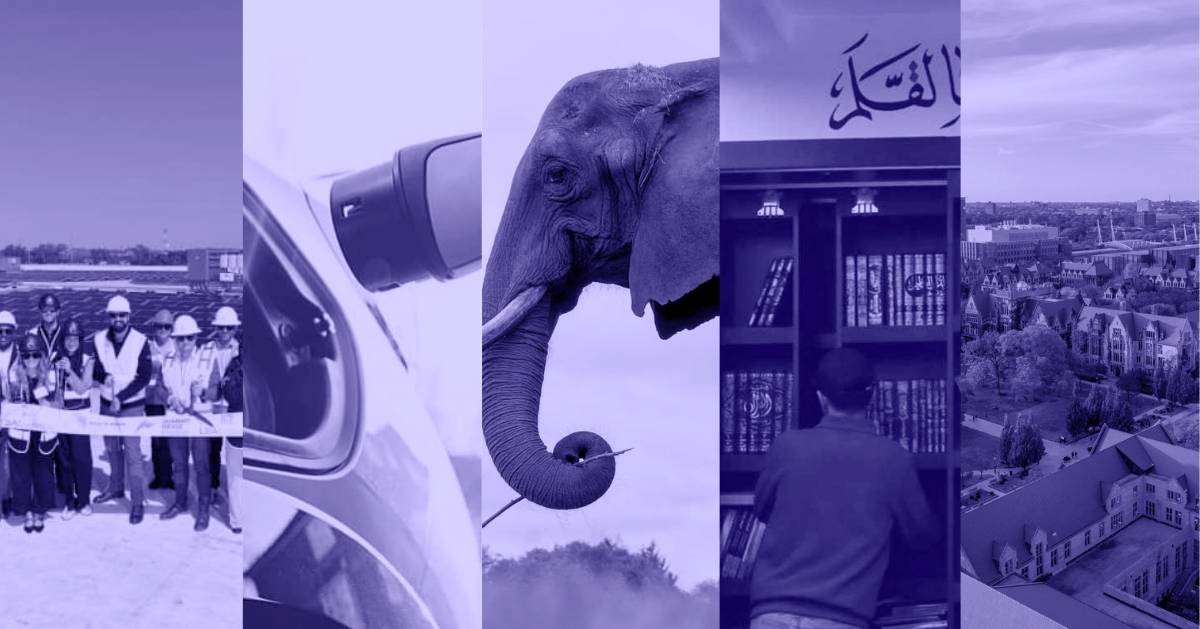 A photo collage of a group of people posing together for a photo, an EV charger plug next to its charging port, the head of an elephant, a person with a bookshelf in front of him and his back to the camera, and an aerial view of a city