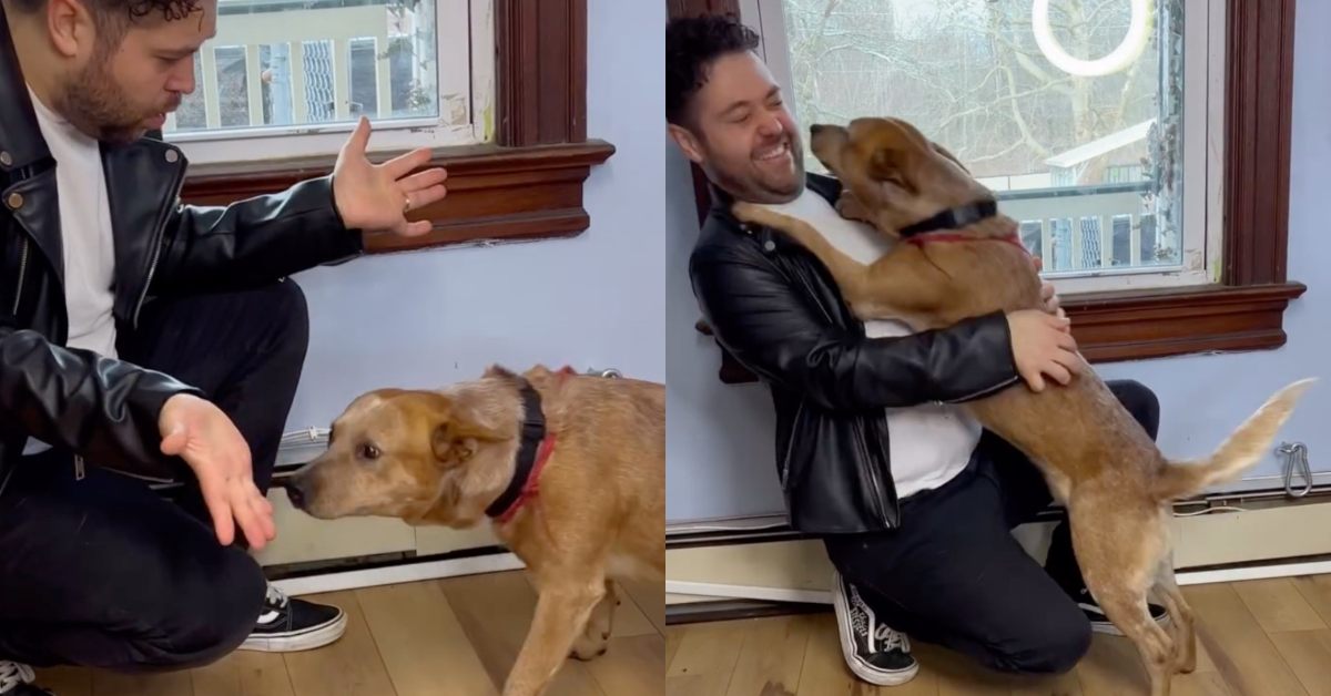 A man in a black leather jacket plays with a tan dog