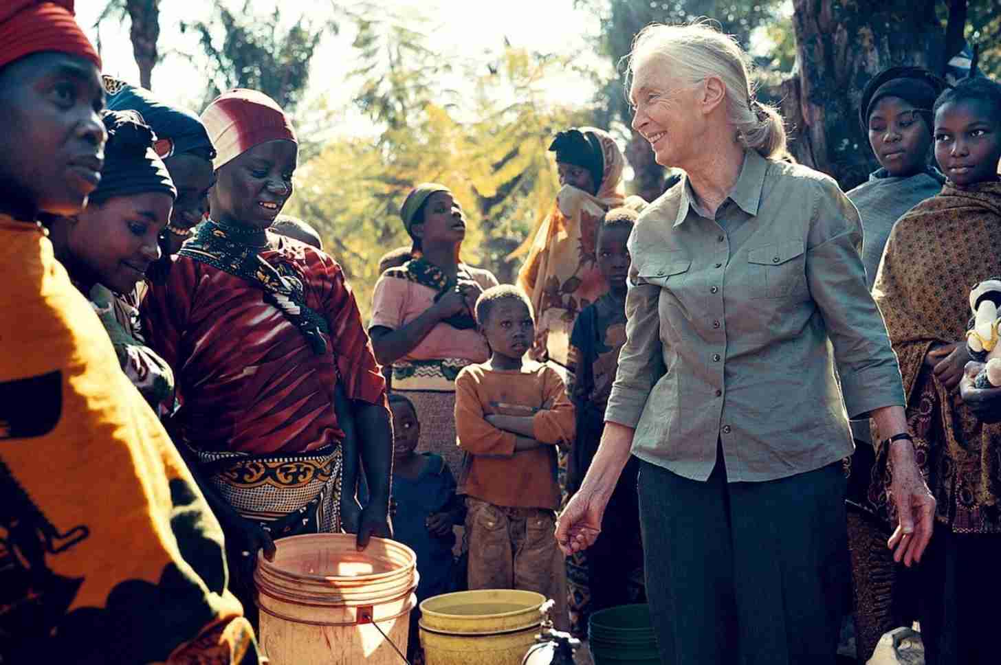 Jane Goodall. Image courtesy of the Jane Goodall Institute