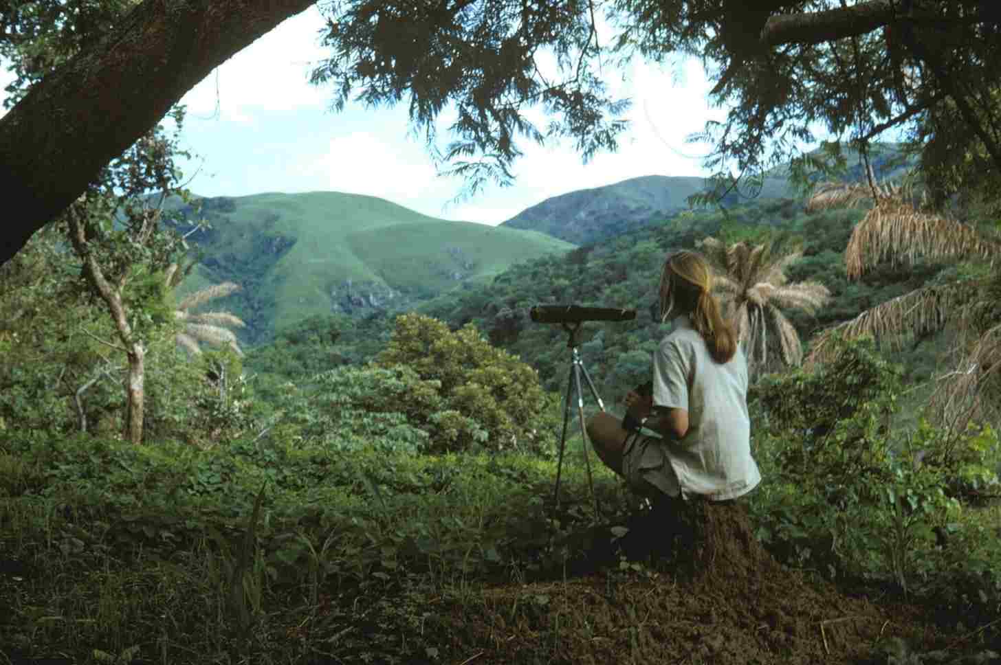 Jane Goodall conducting research in Gombe Stream National Park, Tanzania. Image © the Jane Goodall Institute.