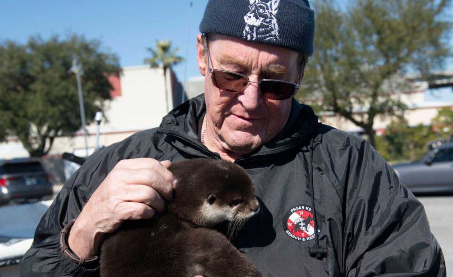 A man in his 60s, Mike Hasdell, holds an otter in his arms