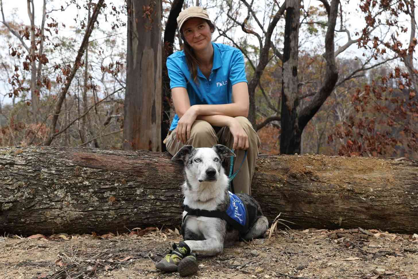 A woman in a blue polo sits on a tree stump in a forest with her dog