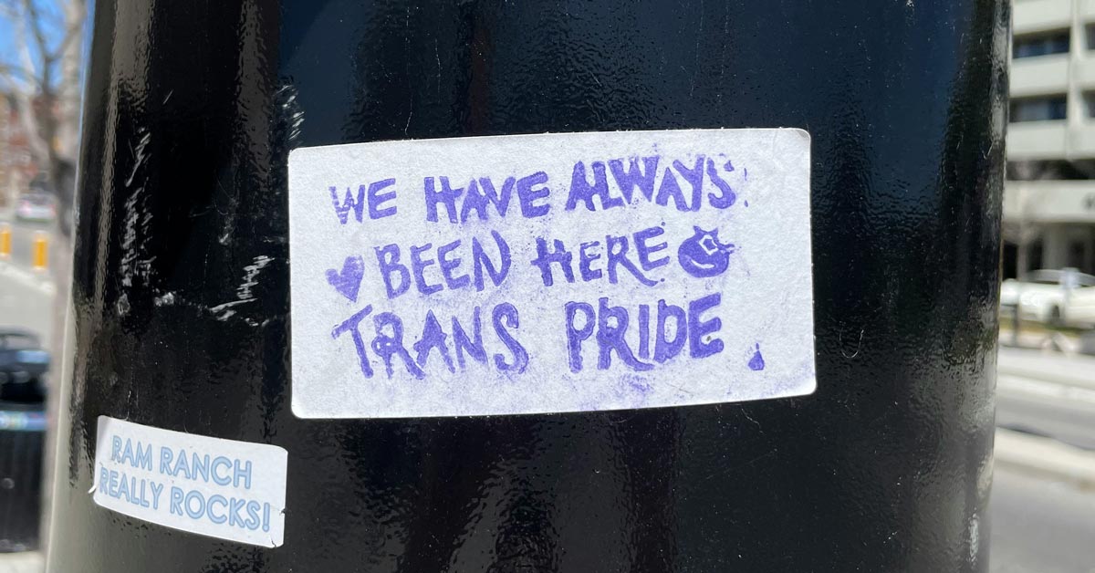 A white sticker with purple letters is adhered to a black light pole. It reads: "We have always been here. Trans pride"