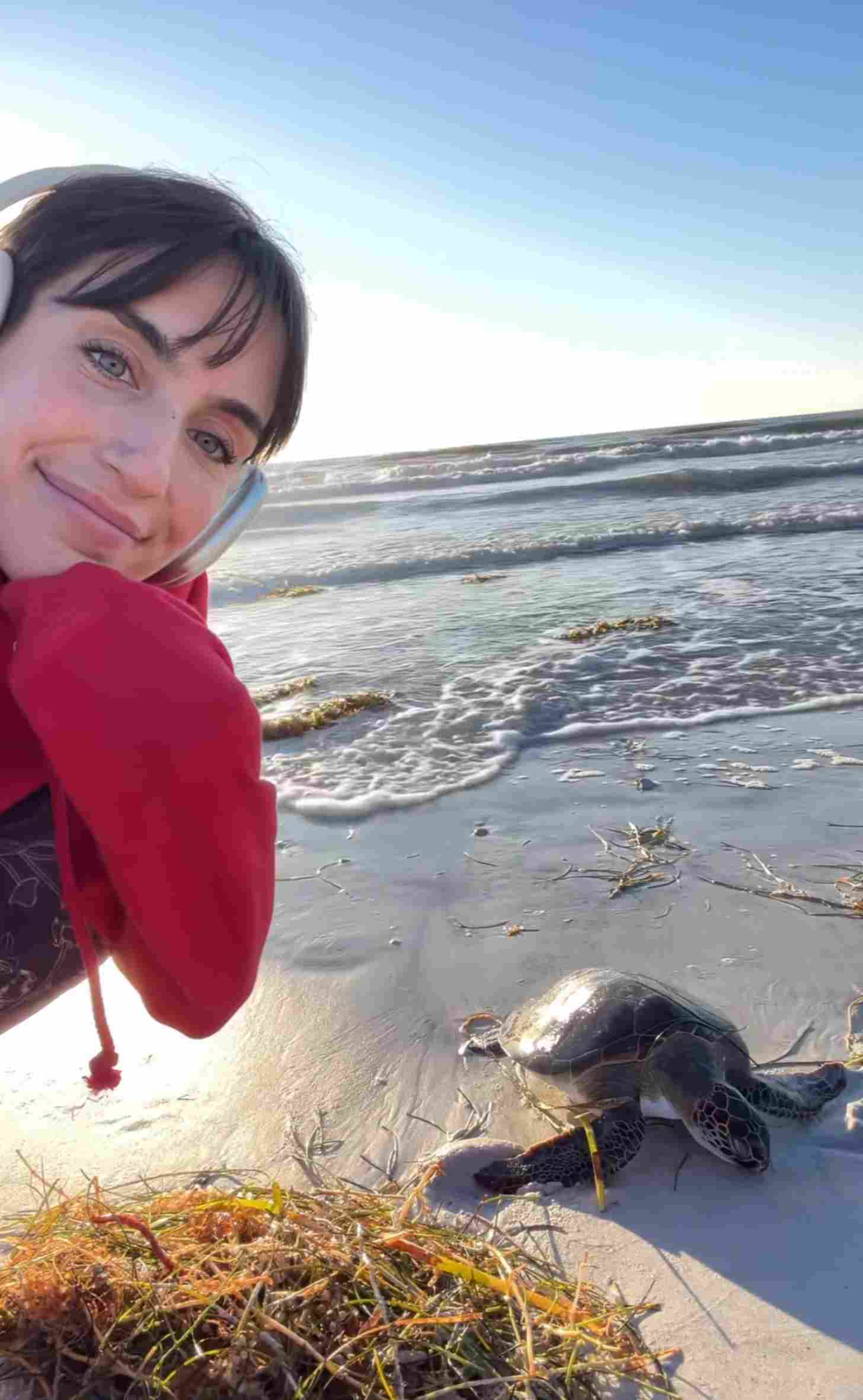 Woman waits beside a green sea turtle on the beach