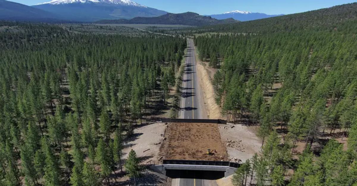 A wildlife overpass in an anerial view
